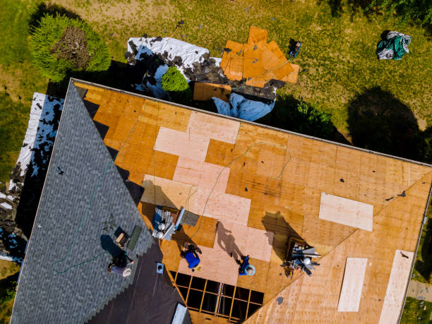 Best Roof Gutter Cleaning  in Kenmar, PA