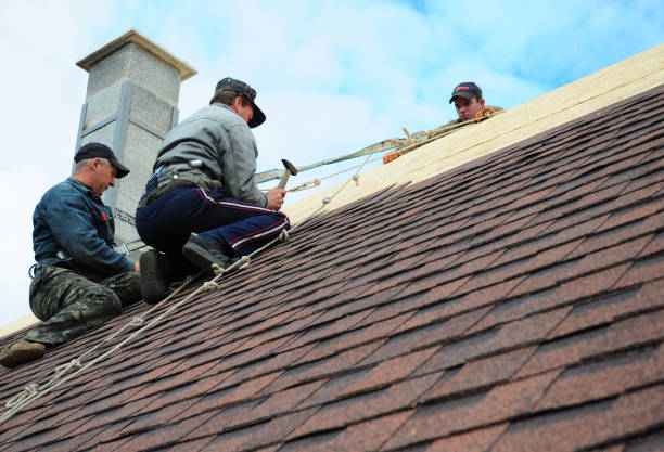 Best Roof Maintenance Services  in Kenmar, PA